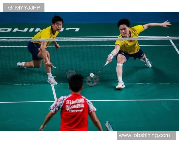 羽毛球巨献：深入分析成都羽毛球队运动员的个人技术与战术能力