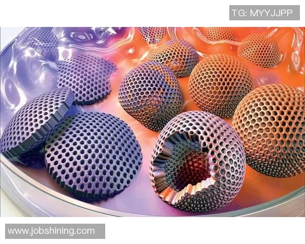 武汉排球队进攻革新之路探秘与未来展望