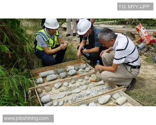 深圳排球队运营策略分析与成败经验总结